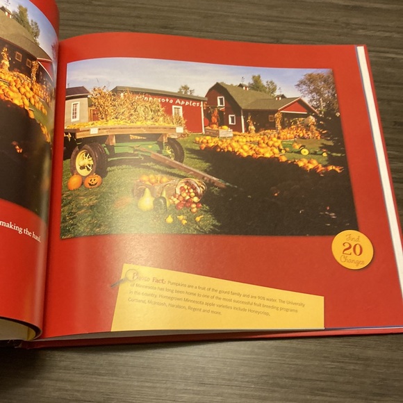 I Spy with my little eye Minnesota by Kathy-jo and ed wargin hardcover kids book - Picture 4 of 5